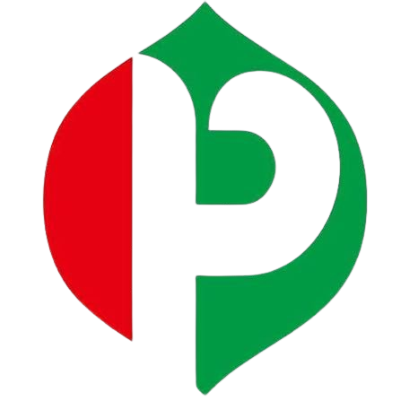 Radio Pasaman FM